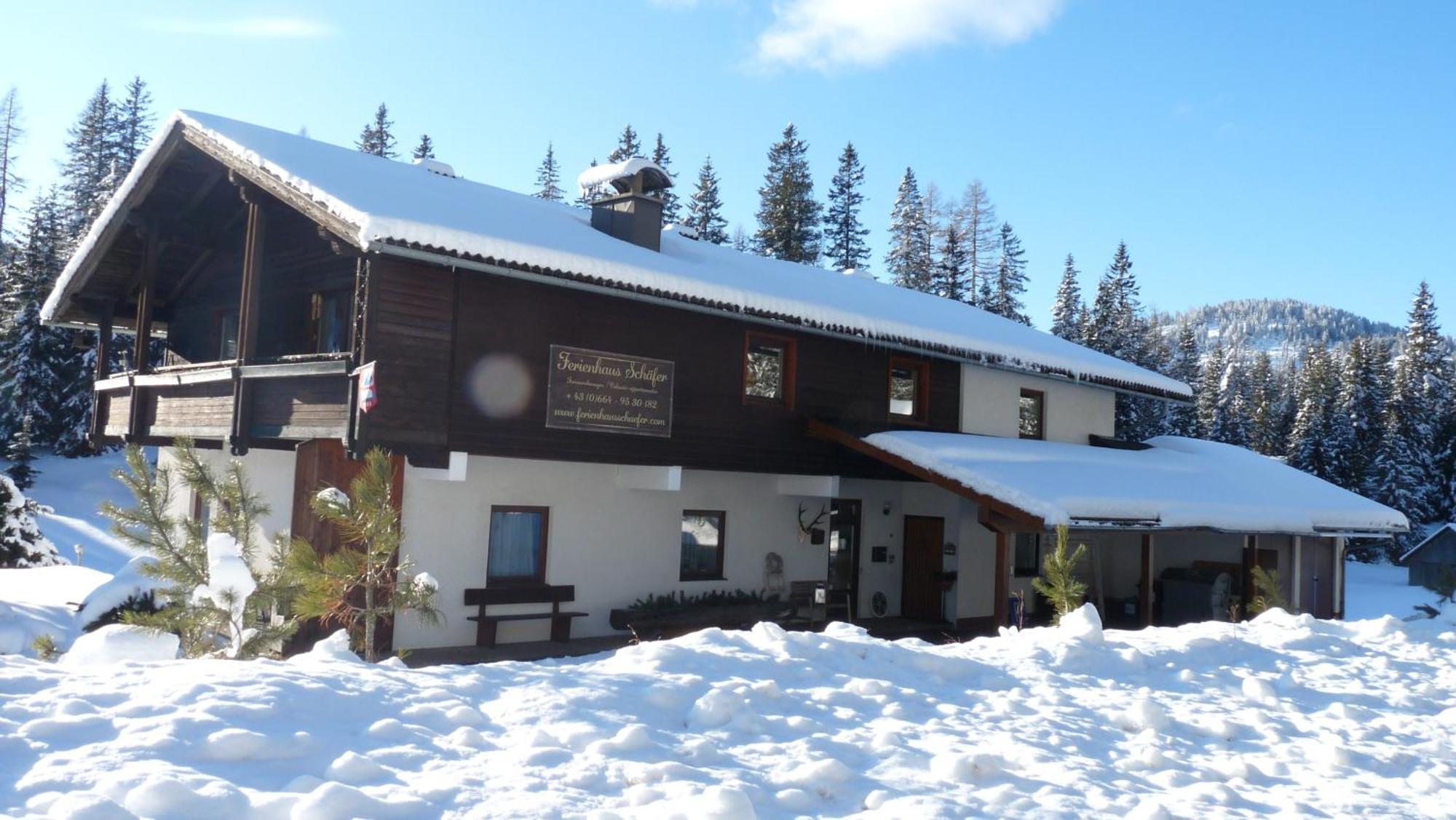 Ferienhaus Schaefer - Apartments - Wintersports - Family Holiday - Holiday With Your Dog - Rural & Scenic Flattnitz Exterior photo